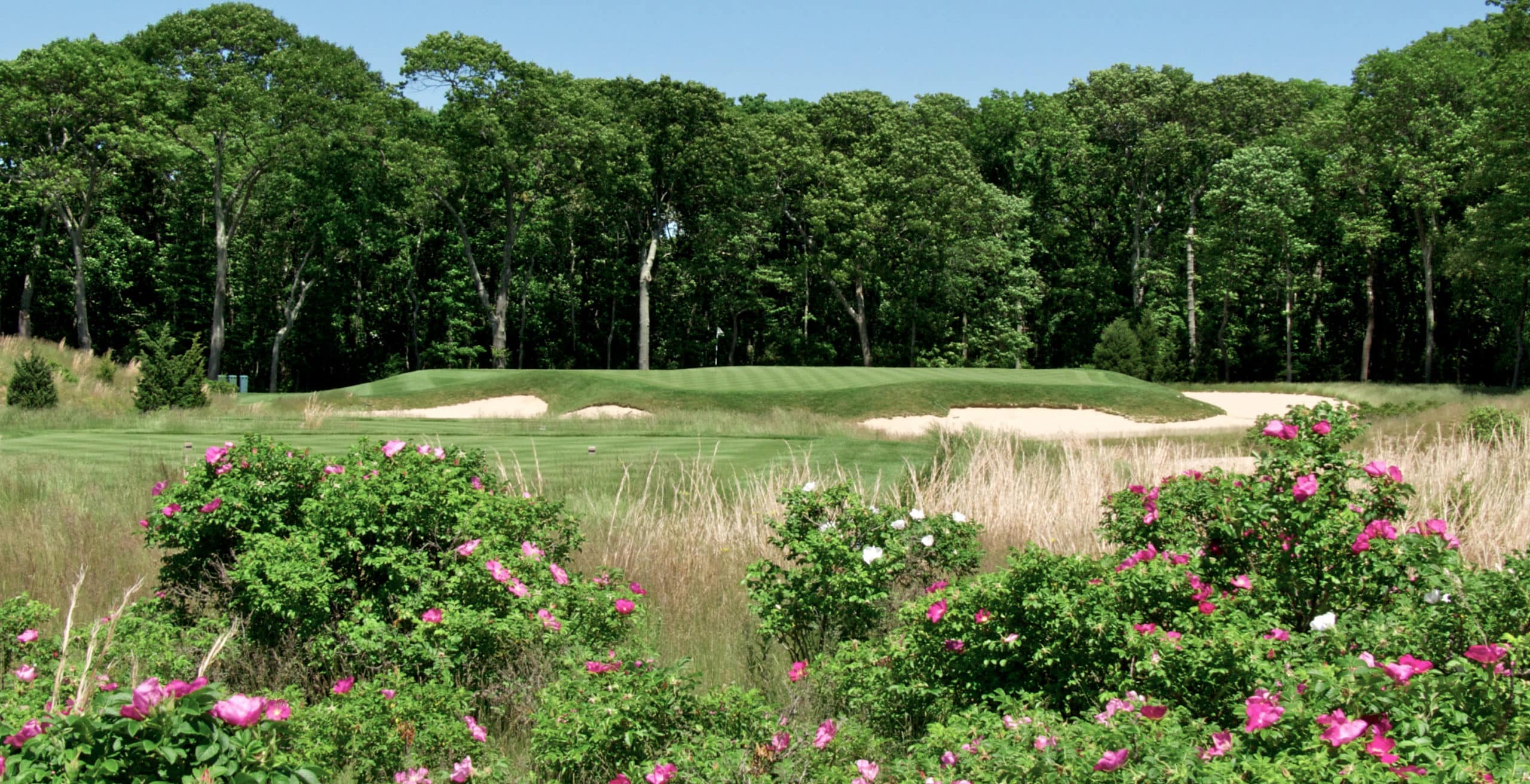 Our Favorite Public Golf Courses on the East End - Quogue Club at Hallock House
