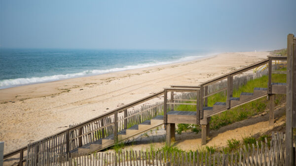 Guide to the Hamptons: What You Need to Know Before Your Visit - Quogue ...